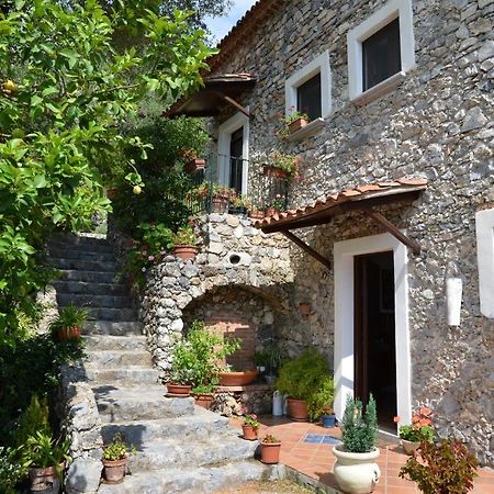 Agrestis Domus Pensionat San Giovanni a Piro Exteriör bild